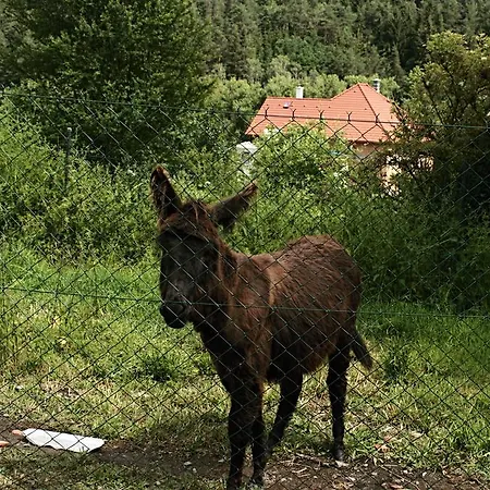 Na Statku Ratzka Kájov