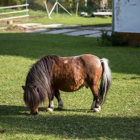 Na Statku Ratzka Πανσιόν